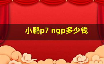 小鹏p7 ngp多少钱